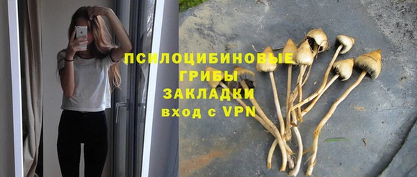 марки nbome Белая Холуница