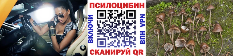 Галлюциногенные грибы GOLDEN TEACHER  Демидов 